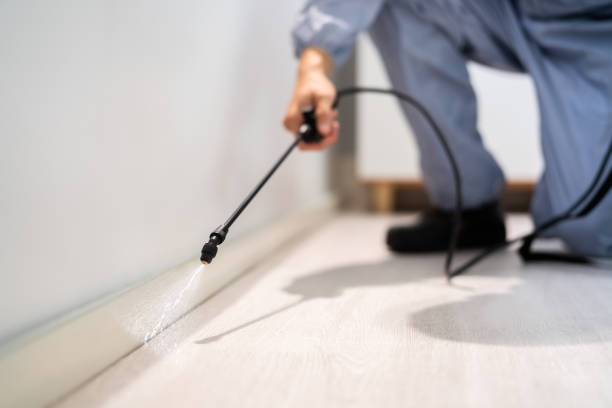 Certified termite inspector examining foundation in Lisle
